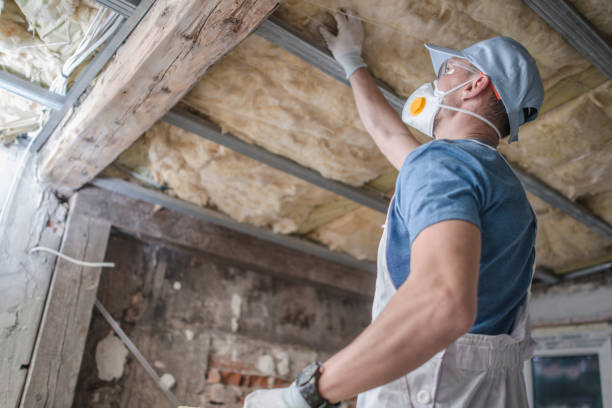 Types of Insulation We Offer in Sunset Hills, MO